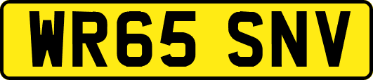WR65SNV