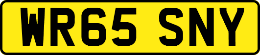 WR65SNY
