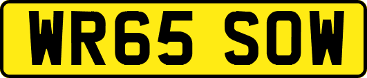 WR65SOW