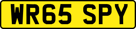 WR65SPY