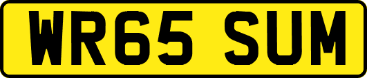 WR65SUM