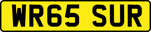 WR65SUR