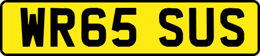 WR65SUS