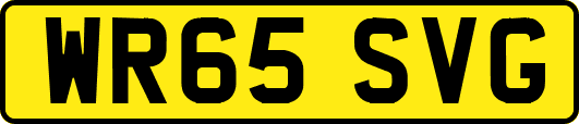 WR65SVG