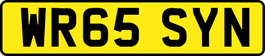 WR65SYN
