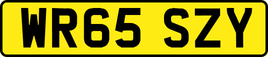 WR65SZY