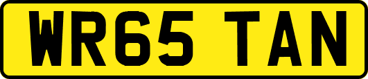WR65TAN