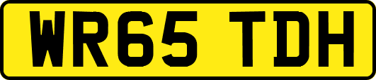 WR65TDH