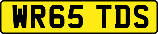WR65TDS
