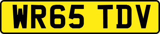 WR65TDV