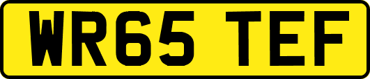 WR65TEF