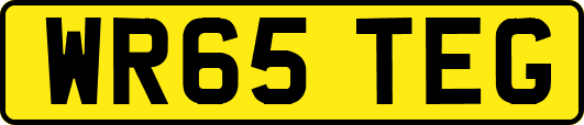 WR65TEG