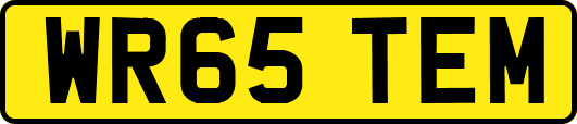 WR65TEM