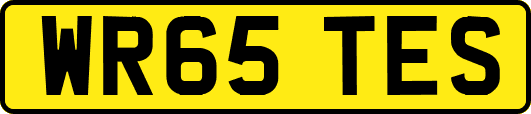 WR65TES