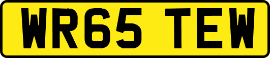 WR65TEW