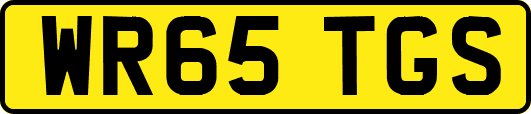 WR65TGS
