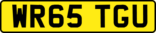 WR65TGU