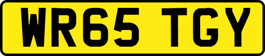 WR65TGY
