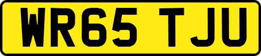 WR65TJU