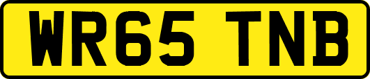 WR65TNB