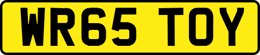 WR65TOY