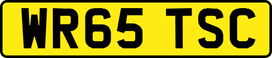 WR65TSC