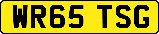 WR65TSG