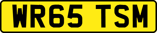WR65TSM