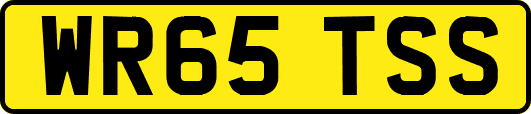 WR65TSS
