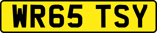 WR65TSY