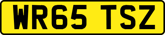 WR65TSZ