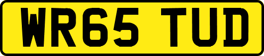 WR65TUD