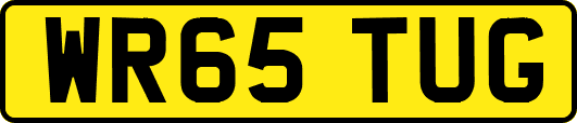 WR65TUG