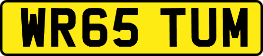 WR65TUM