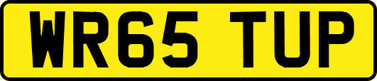 WR65TUP