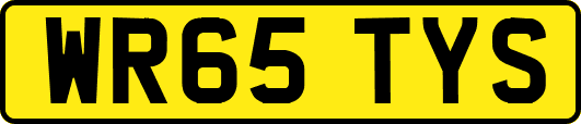 WR65TYS