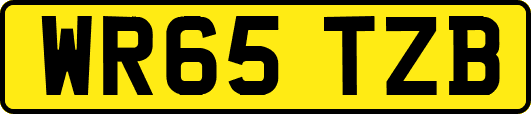 WR65TZB