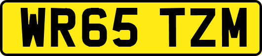 WR65TZM