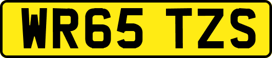 WR65TZS