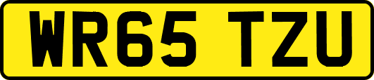 WR65TZU