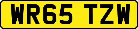 WR65TZW