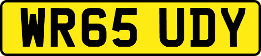 WR65UDY