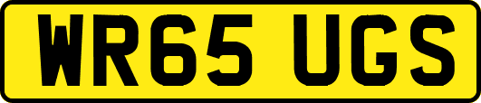 WR65UGS