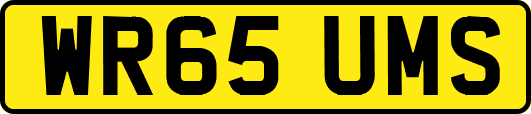 WR65UMS