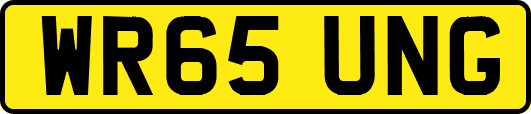 WR65UNG