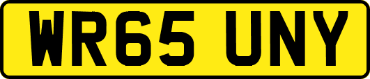 WR65UNY