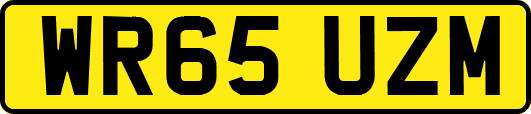 WR65UZM