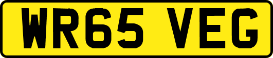 WR65VEG