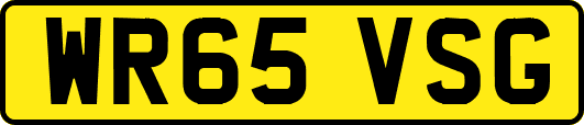 WR65VSG