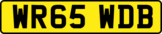 WR65WDB